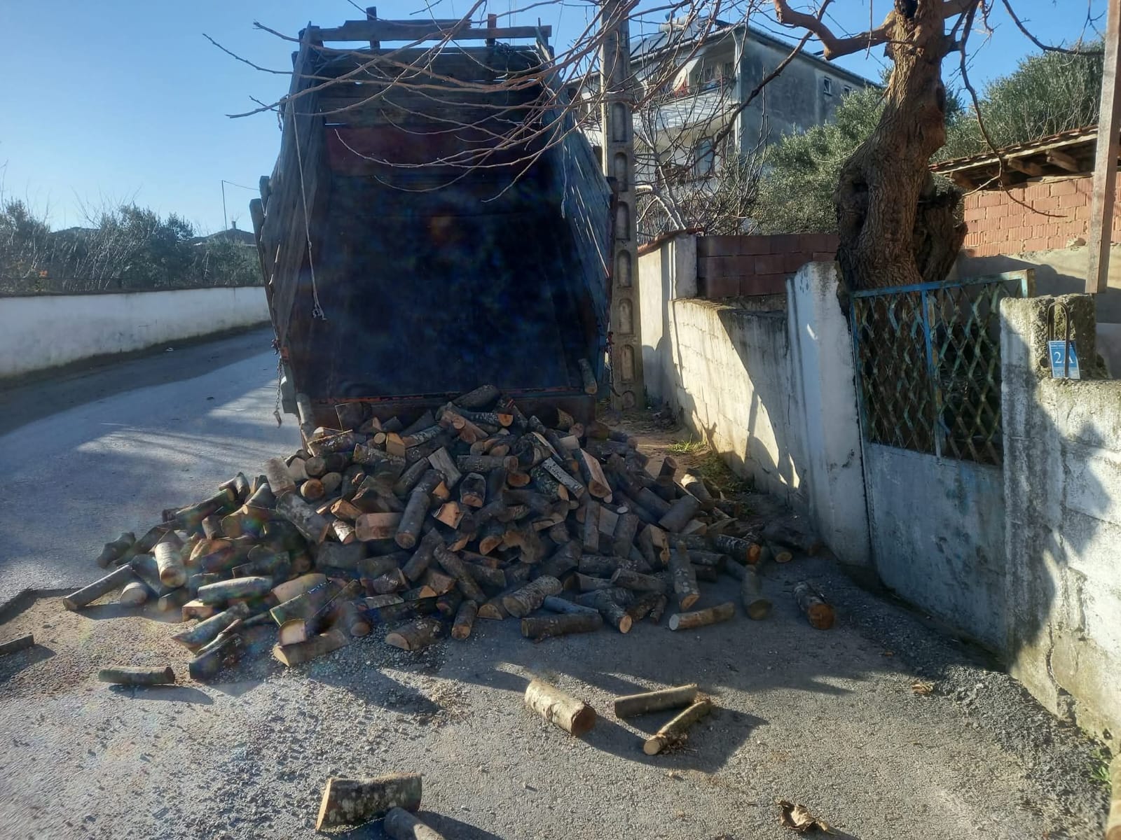 Kaya Orman Ürünleri